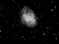 051219 m1 3x10 ha 5x10L ddp ni dp